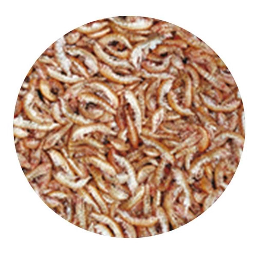 TROPİCAL GAMMARUS 11LT/1200GR KAPLUMBAĞA YEMİ
