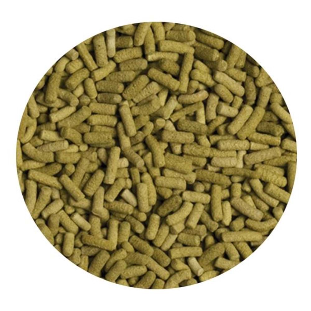 TROPİCAL BİOREPT L 250ML/70GR KAPLUMBAĞA YEMİ