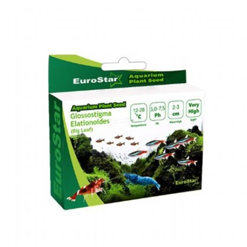 EUROSTAR BİTKİ TOHUMU GLOSSOSTİGMA ELATİNOİDES