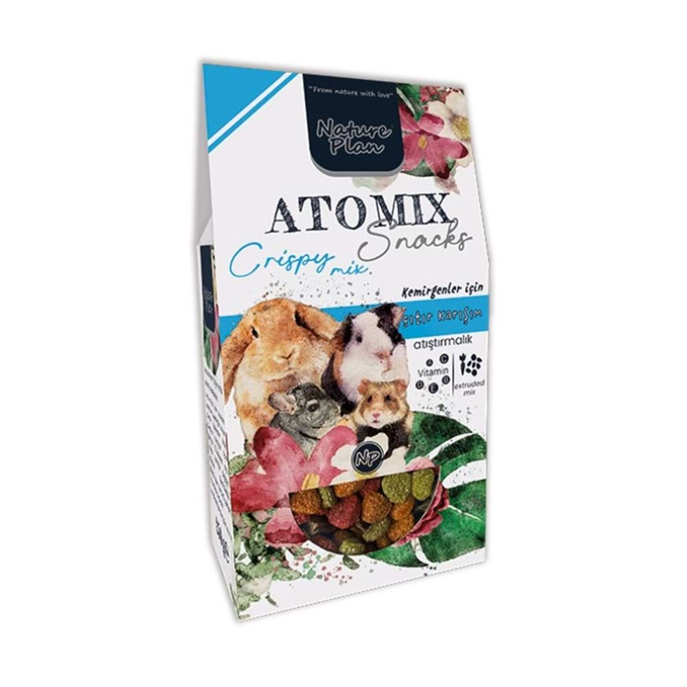 NATURE PLAN ATOMİX SNACKS MİXTURE 250 GR