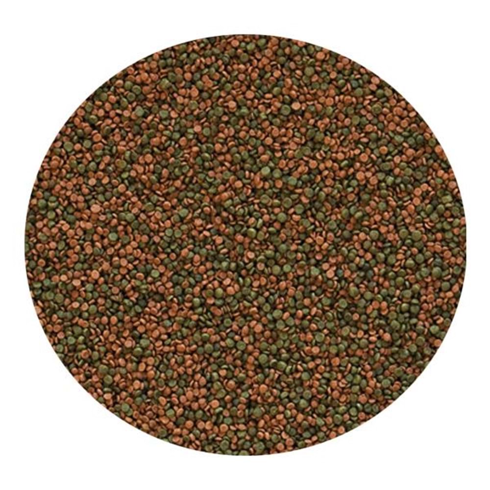 TROPİCAL CİCHLİD GRAN 10LT/5,5KG