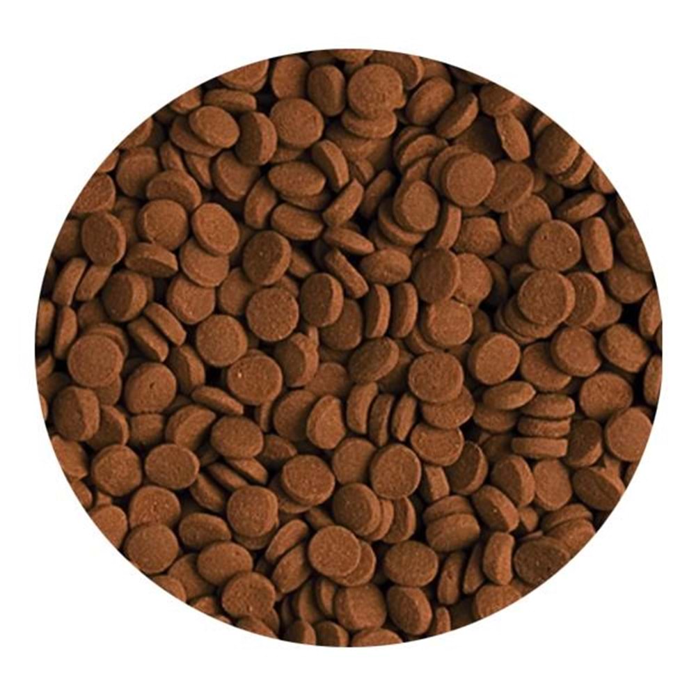 TROPİCAL CARNİVORE 5LT/3KG