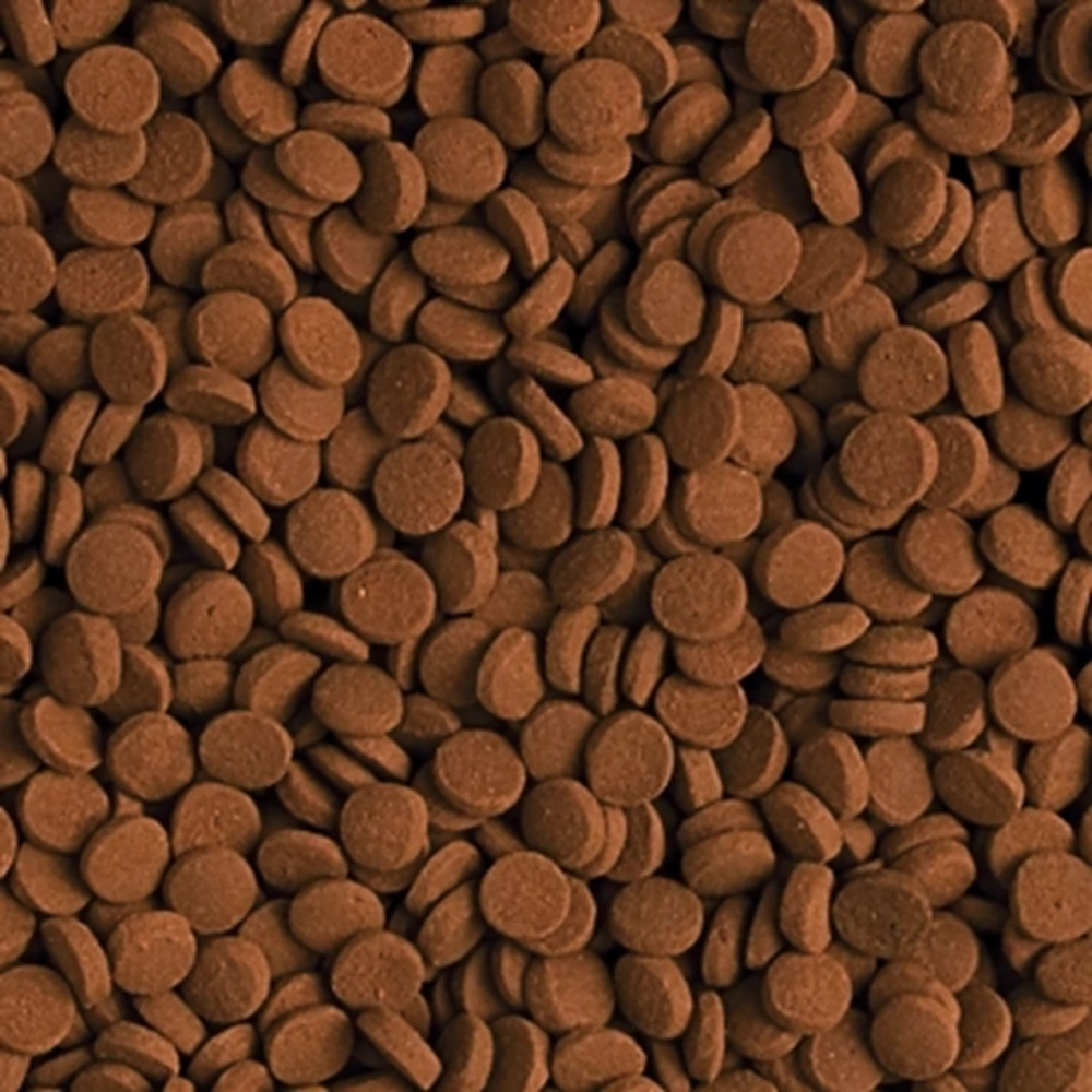 TROPİCAL CARNİVORE 5LT/3KG