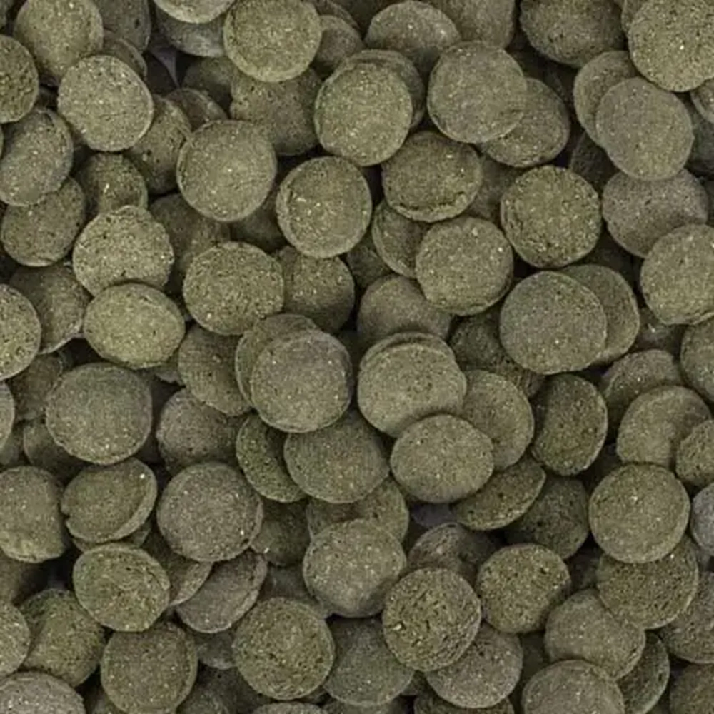 Tropical Hi Algae Discs 100ml/60G