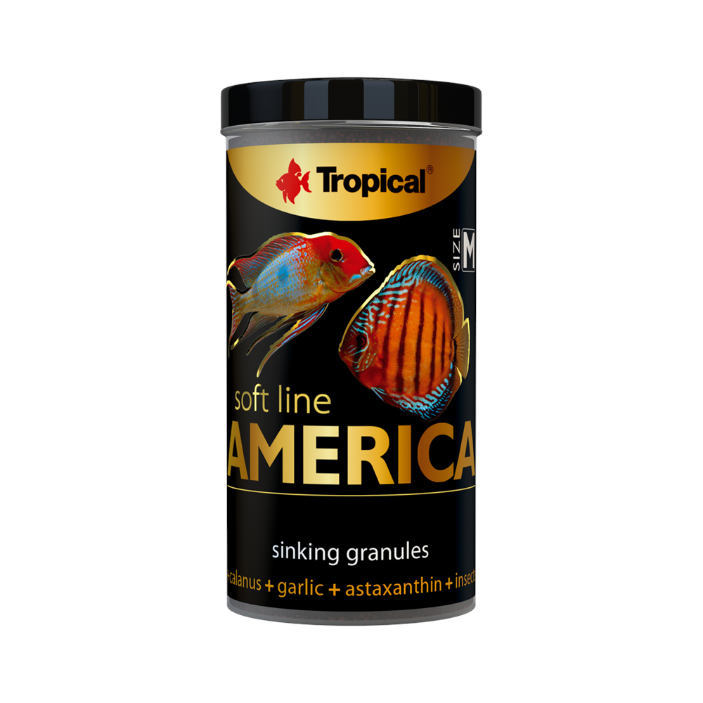 TROPİCAL SOFT LİNE AMERİCA SİZE M 250ML/150GR