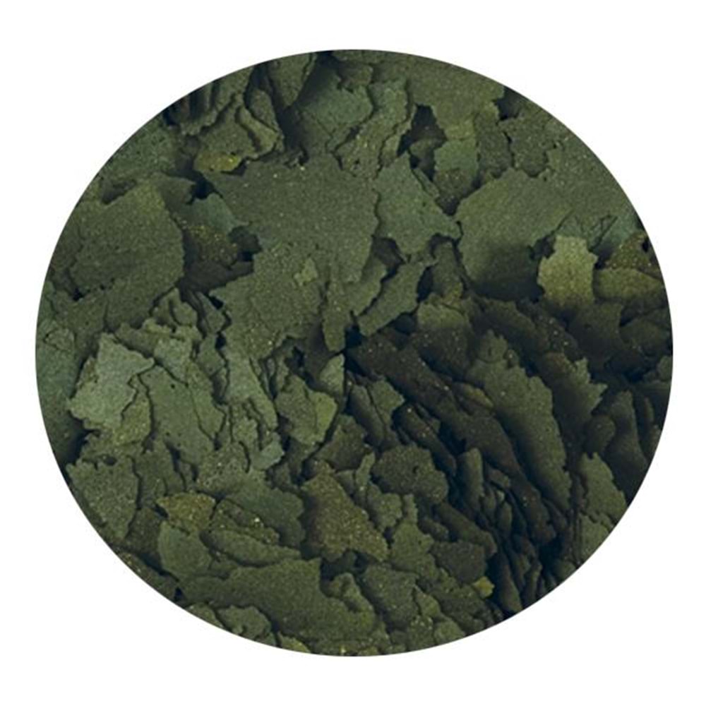 TROPİCAL SUPER SPİRULİNA FORTE 11LT/2KG