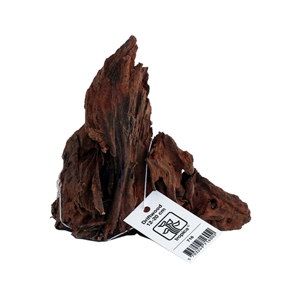 TROPİCA DRİFTWOOD 12 -20CM
