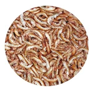 TROPİCAL GAMMARUS 11LT/1200GR KAPLUMBAĞA YEMİ