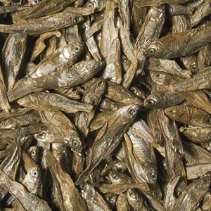 Tropical Dried Fish 250ml/35G