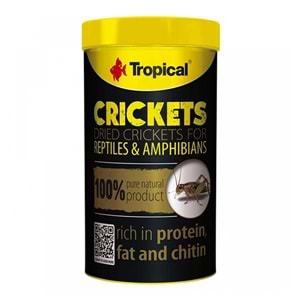 TROPİCAL CRİCKETS 250ML/25G