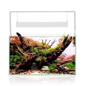 AQUAEL ULTRASCAPE 60 FOREST SET