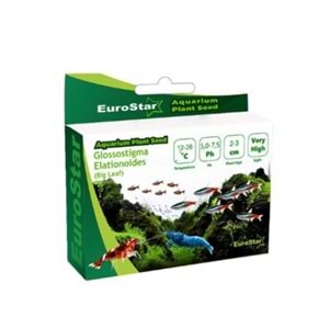 EUROSTAR BİTKİ TOHUMU GLOSSOSTİGMA ELATİNOİDES