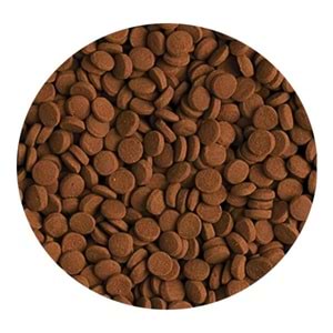 TROPİCAL CARNİVORE 5LT/3KG