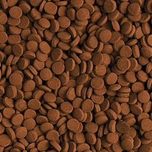 TROPİCAL CARNİVORE 5LT/3KG