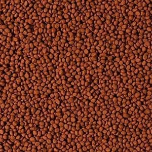 TROPİCAL CİCHLİD CARNİVORE MEDİUM PELLET 250GR