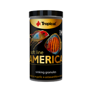 TROPİCAL SOFT LİNE AMERİCA SİZE M 250ML/150GR