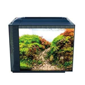 ANUBİAS PLECO 55 NANO AKVARYUM SİYAH 55,5 X 29,5 X 44 CM