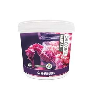 REEFLOWERS CALEDONİA REEF SALT 22,5 KG KOVA