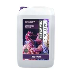 REEFLOWERS CALEDONİA SEA WATER 20 LT