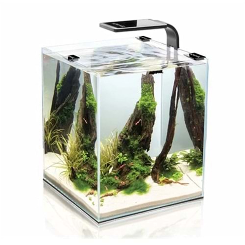 Aquael Shrimp Set Smart D&N 30 Siyah