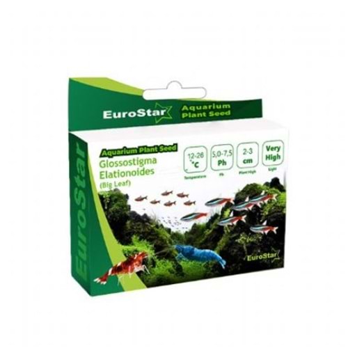 EUROSTAR BİTKİ TOHUMU GLOSSOSTİGMA ELATİNOİDES