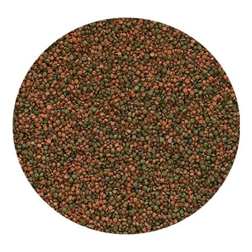 TROPİCAL CİCHLİD GRAN 10LT/5,5KG