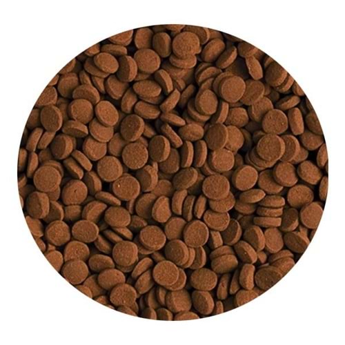 TROPİCAL CARNİVORE 5LT/3KG