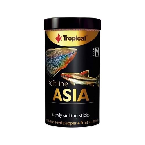 TROPİCAL SOFT LİNE ASİA SİZE M 100ML/40GR