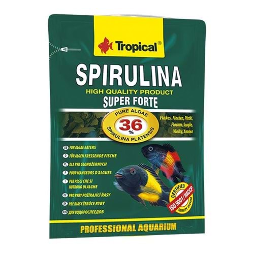 TROPİCAL SUPER SPİRULİNA FORTE 12GR