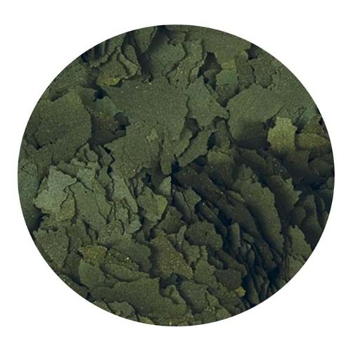 TROPİCAL SUPER SPİRULİNA FORTE 11LT/2KG