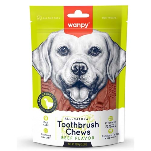 WANPY DENTAL KÖPEK ÖDÜLÜ 100 GR DB-16