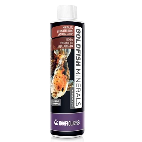 REEFLOWERS GOLDFİSH 85 ML