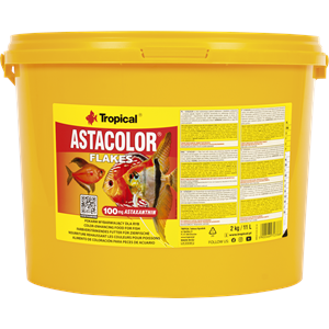 TROPİCAL ASTACOLOR 11LT/2KG