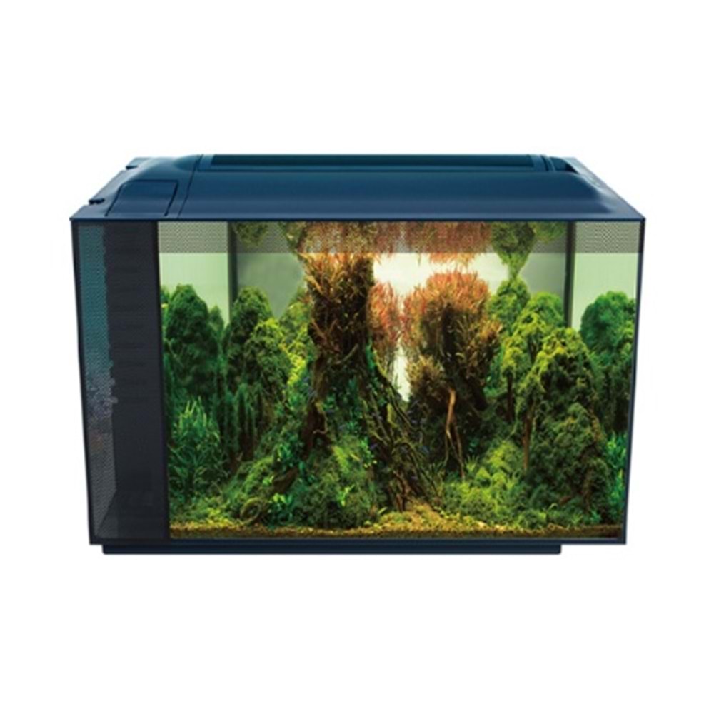 ANUBİAS CORYDORAS 55 NANO AKVARYUM 55,5 X 29,5 X 32 CM