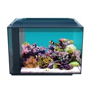 ANUBİAS EVO-V8 55 NANO MARİNE AKVARYUM SİYAH 55,5 X 29,5 X 32 CM